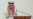 Saudi Foreign Minister Arrives in Tehran Amid Rapprochement: Iran TV
