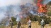 تلاش گروه‌های مردمی برای مهار آتش‌سوزی در جنگل‌های اطراف مریوان.