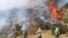 تلاش گروه‌های مردمی برای مهار آتش‌سوزی در جنگل‌های اطراف مریوان