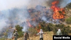 تلاش گروه‌های مردمی برای مهار آتش‌سوزی در جنگل‌های اطراف مریوان