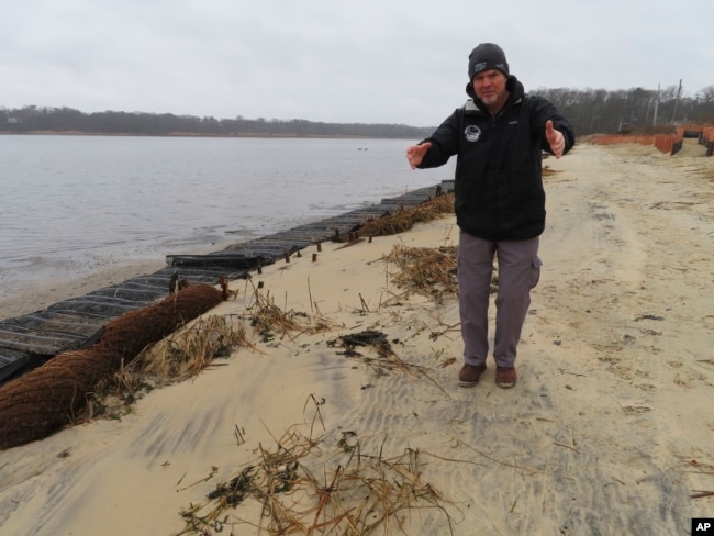 Capt. Al Modjeski, a restoration specialist with the American Littoral Society, examines a beach along the Shark River in Neptune N.J., Jan. 31, 2023. (AP Photo/Wayne Parry)