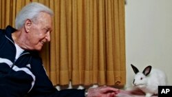 FILE - Retired game show host Bob Barker, a longtime animal rights advocate, plays with his 8-year-old rabbit Mr. Rabbit at his home in Los Angeles, California, Dec. 13, 2011.