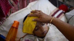 ဘင်္ဂလားဒေ့ရှ်မှာ သွေးလွန်တုပ်ကွေးရောဂါဖြစ်သူ များပြား