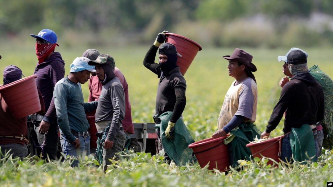 Mexicanos con el trabajo más pesado en Estados Unidos
