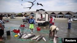Pescadores en Manta, Ecuador, cortan las cabezas y las aletas de tiburones el 1 de abril de 2023.