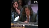 纽约地震 联合国安理会会议短暂中断