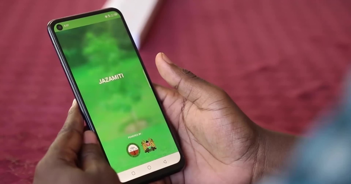 Au Kenya, l'application JazaMiti aide à reboiser les forêts