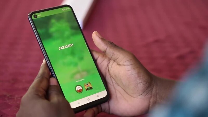 Au Kenya, l'application JazaMiti aide à reboiser les forêts