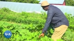 Un couple d'agriculteurs nigérians vit le rêve américain