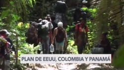 Autoridades de EEUU, Colombia y Panamá sobrevuelan el Tapón del Darién para evitar tráfico humano