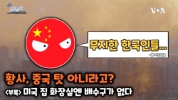 [쓸만한 지식 사전] 황사, 중국 탓 아니라고?