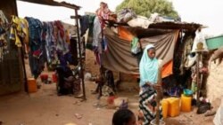 Tenin don, marifatigi minnu tɔgɔ ma dɔn, olu ye binkanni kɛ Dourou dugu kan Bandiagara lamini na. 