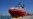 Rescue Ship Saves 438 Migrants in Mediterranean: NGO