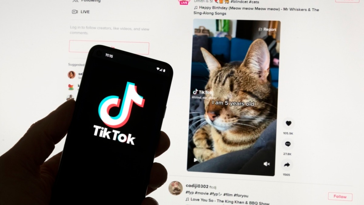 Another US State Sues TikTok, Saying It Lures Children Into Destructive ...