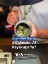 Amerika Banget – Jual-Beli Ganja Rekreasi di Colorado, Amerika Serikat, Kayak Apa Ya?