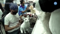 Tüylü Dostların Anısına Yapılan Pelüş Oyuncaklar
