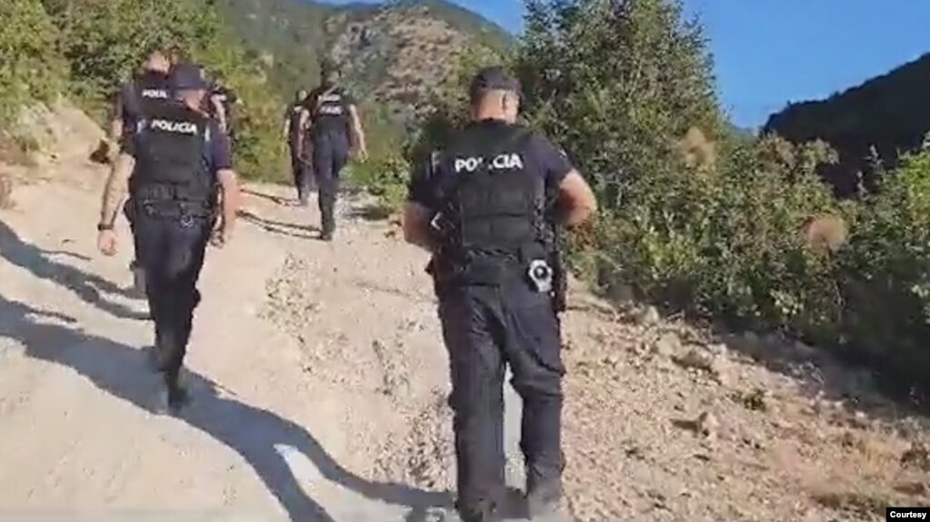 Shqipëri, asgjësohen afro 21 mijë rrënjë kanabis