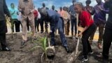 FILE - Rita Joy Samantha Burk (R), assisted by Africano Mande (L) plants a tree on the premises of the South Sudan National Revenue Authority in Juba. VOA/Juliana Siapai