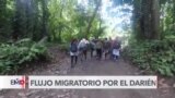 Más de 100.000 migrantes han atravesado el Darién en lo que va del 2024