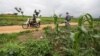 Nigeria Police Investigate 15 Killings Amid Farmer-Herder Violence