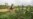 Nigeria Police Investigate 15 Killings Amid Farmer-Herder Violence