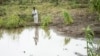 FILE - A man stands on his washed-away maize field in Chiradzulu, Malawi, on March 17, 2023, after Cyclone Freddy destroyed thousands of hectares of crops. Amid the resulting food shortage, Malawi this week banned imports of maize from Kenya and Tanzania over disease concerns.