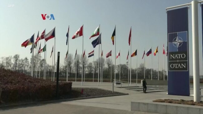 Finlandia Masuk NATO, Swedia Masih Menanti Langkah Turki