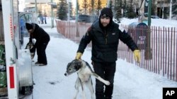 Musher Richie Diehl takes one of his dogs back to his trailer before the ceremonial start of the Iditarod Trail Sled Dog Race, March 4, 2023, in Anchorage, Alaska.