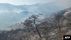 This aerial photograph shows a forest area partially burnt and with smoke emanating from wildfires in Turkey's western province of Izmir, Aug. 17, 2024. 