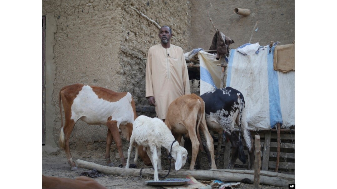 Former guide Kola Bah, who has been unemployed since Mali's conflict started and now sells from his small herd of cattle when he needs to make ends meet, poses for a photograph in Djenne, Mali, May 9, 2024.