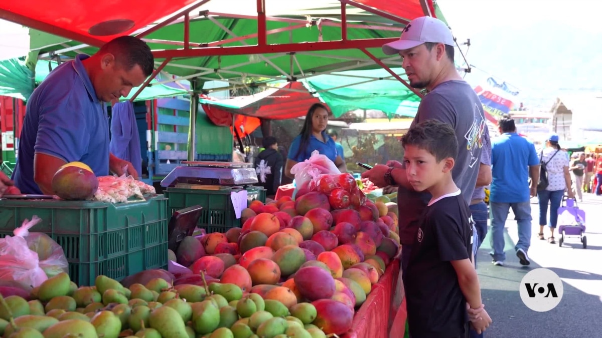 Cultivating community, Costa Rica celebrates 40 years of farmers markets - Vimarsana News