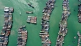 A drone view shows fishing boats being moored at a port as Typhoon Gaemi approaches, in Lianjiang county of Fuzhou, Fujian province, China, July 23, 2024. 