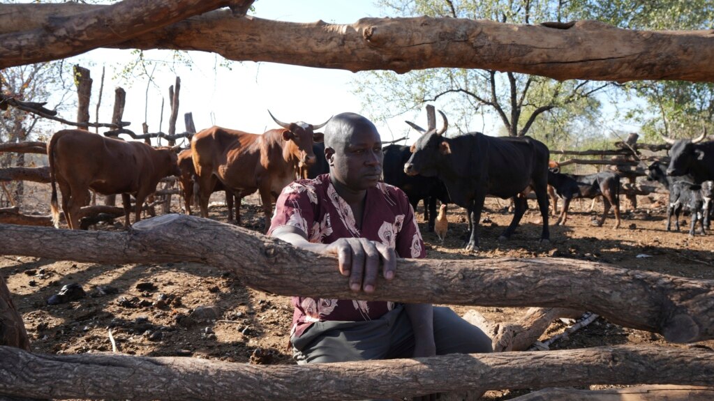 Man Jailed for Poaching, Now Protects Zimbabwe’s Natural Resources