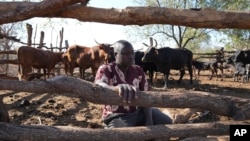 Tembanechako Mastick, a former poacher who now teaches conservation, poses inside his cattle pen in Chiredzi, Zimbabwe near the Save Valley Conservancy, Wednesday, July 10, 2024. (AP Photo/Tsvangirayi Mukwazhi)