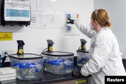 A lab technician tests wastewater samples from around the United States for the coronavirus disease (COVID-19) at the Biobot Analytics, in Cambridge, Massachusetts, February 22, 2022.