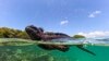 Seekor iguana laut (Amblyrhynchus cristatus) terlihat di Teluk Tortuga di Pulau Santa Cruz, bagian dari kepulauan Galapagos di Ekuador, pada 6 Maret 2024. (Foto: AFP)