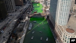 The Chicago River is dyed green ahead of St. Patrick's Day celebrations, March 16, 2024, in Chicago. 