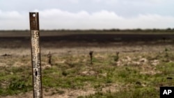 FILE - Meteran air di taman alam Donana, Spanyol barat daya, 19 Oktober 2022. (AP/Bernat Armangue)