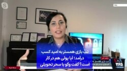 تب بازی همستر به امید کسب درآمد؛ آیا پولی هم در کار است؟ گفت وگو با سحر تحویلی