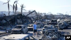 A man walks through wildfire wreckage Aug. 11, 2023, in Lahaina, Hawaii. 