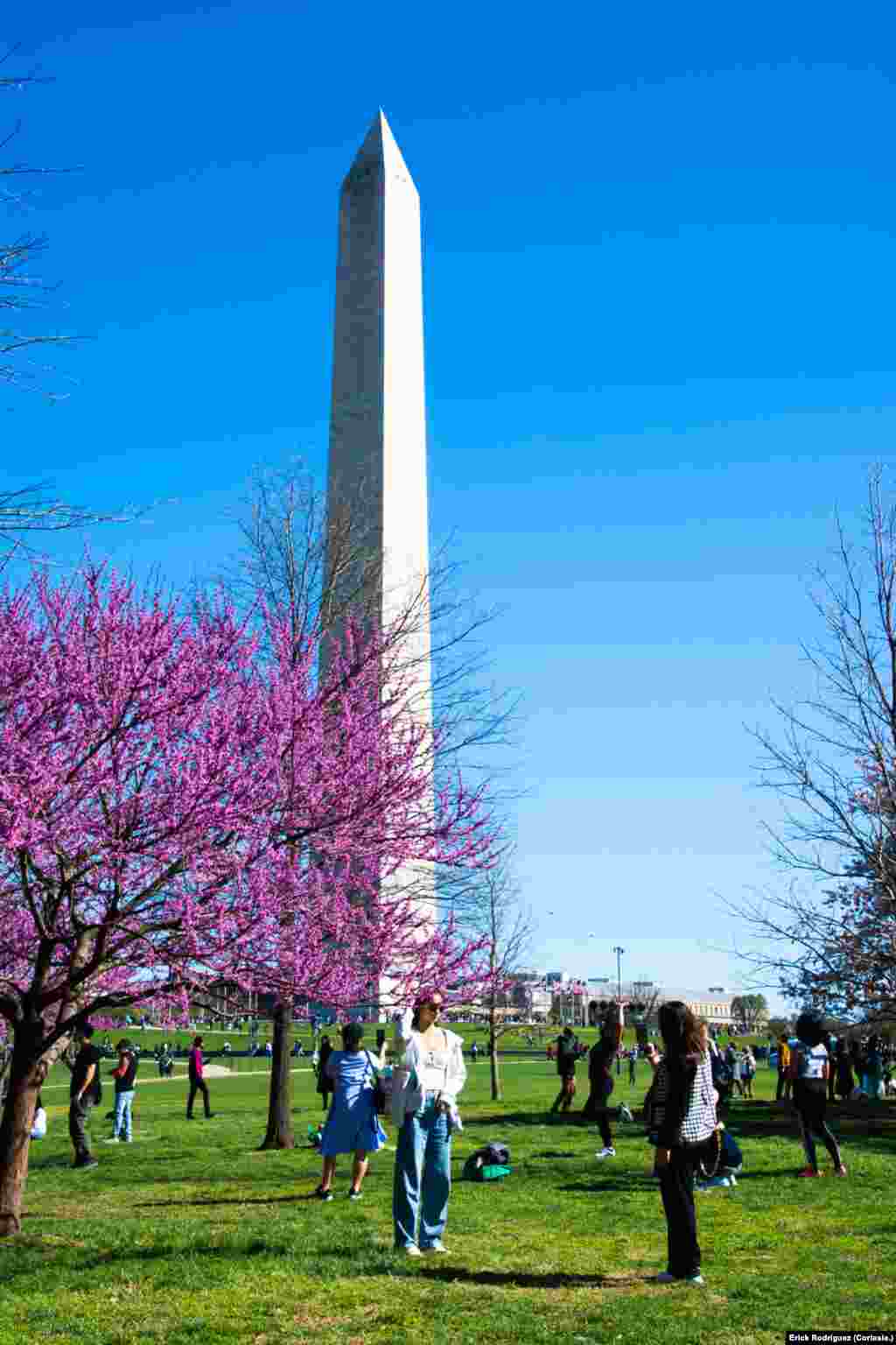 El monumento a Washington tiene una estatura de 169 metros y un peso estimado en 91.000 toneladas.
