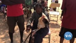 Comunidade San da Huíla aprende novas técnicas de sustento para enfrentar a seca