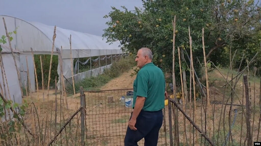 Ahmet Sulejmani