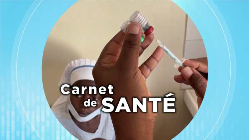 Carnet de sante : le paludisme