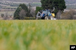 Farmer Jose Francisco Sanchez drives a tractor spraying fertilizer on a barley crop in Anchuelo on the outskirts of Madrid, Spain, Tuesday, Feb. 7, 2023. (AP Photo/Paul White)
