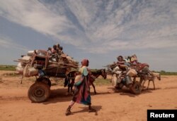 A Sudanese woman, who fled the conflict in Murnei in Sudan's Darfur region, walks beside carts carrying her family belongings upon crossing the border between Sudan and Chad in Adre, Chad, Aug. 2, 2023.