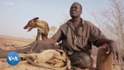 Les chasseurs nigériens déplorent la perte de leur territoire face à la menace djihadiste