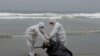 Petugas di Kota Lima, Peru, tampak mengambil bangkai burung pelikan di pantai Santa Maria pada 19 November 2022. Menurut data pihak berwenang Peru, ribuan burung pelikan di Peru telah mati akibat terinfeksi flu burung. (Foto: AP/Guadalupe Pardo)