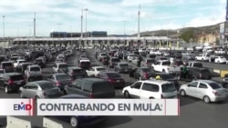 Autoridades advierten sobre contrabando involuntario desde México hacia EEUU