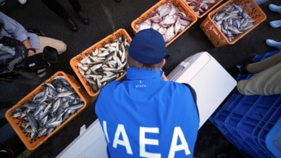 Scientists to Study Fish after Fukushima Water Release